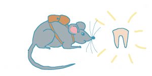 Lire la suite à propos de l’article La petite souris des dents  