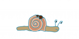 Lire la suite à propos de l’article La coquille de l’escargot  