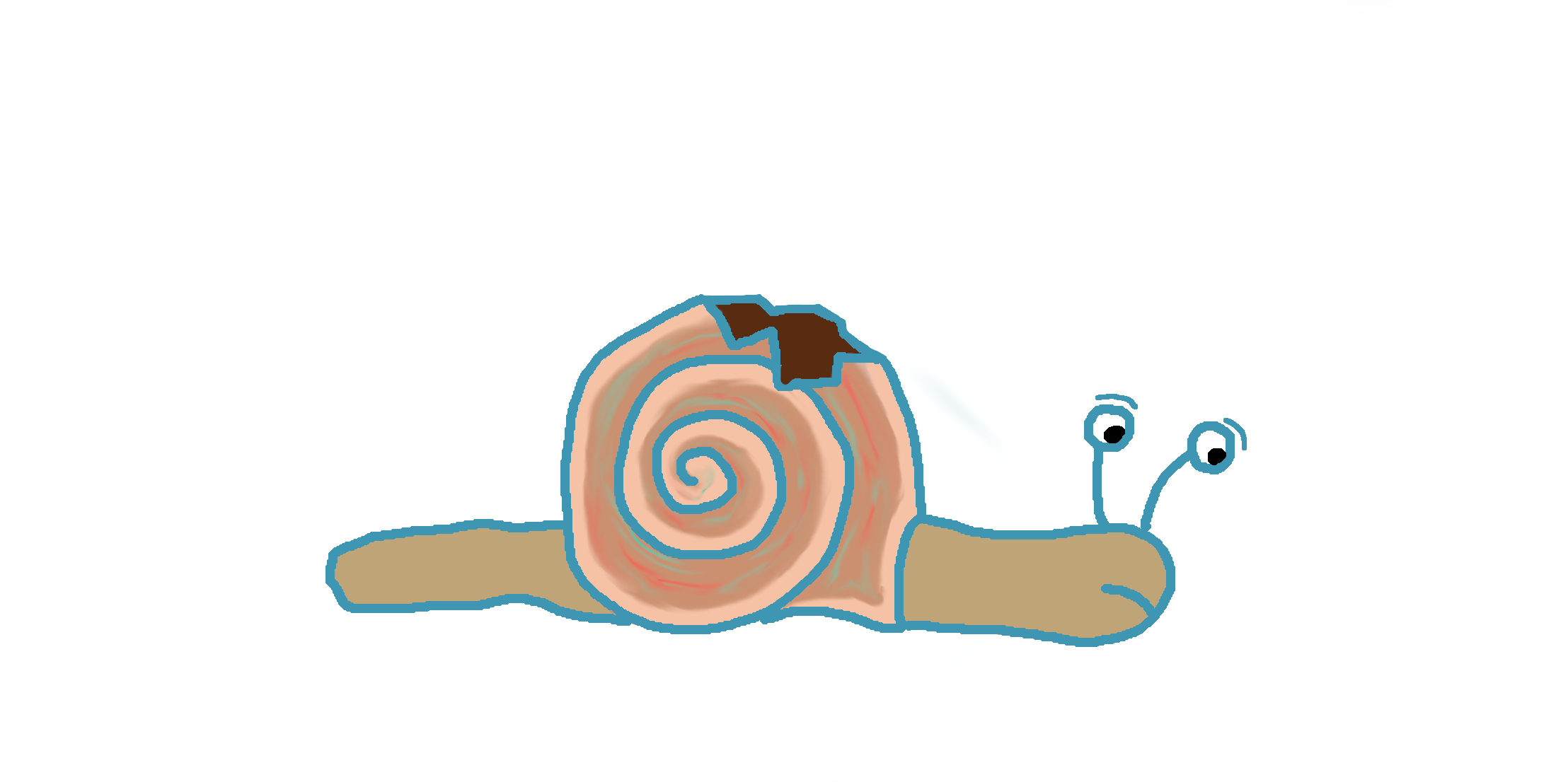 You are currently viewing La coquille de l’escargot  